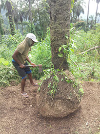20170706 mamfe charity baumfaellarbeiten fuer das kinderheim2